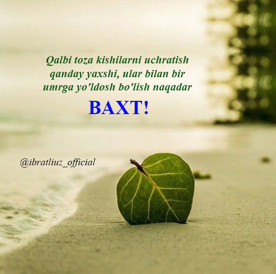 Motivatsiya